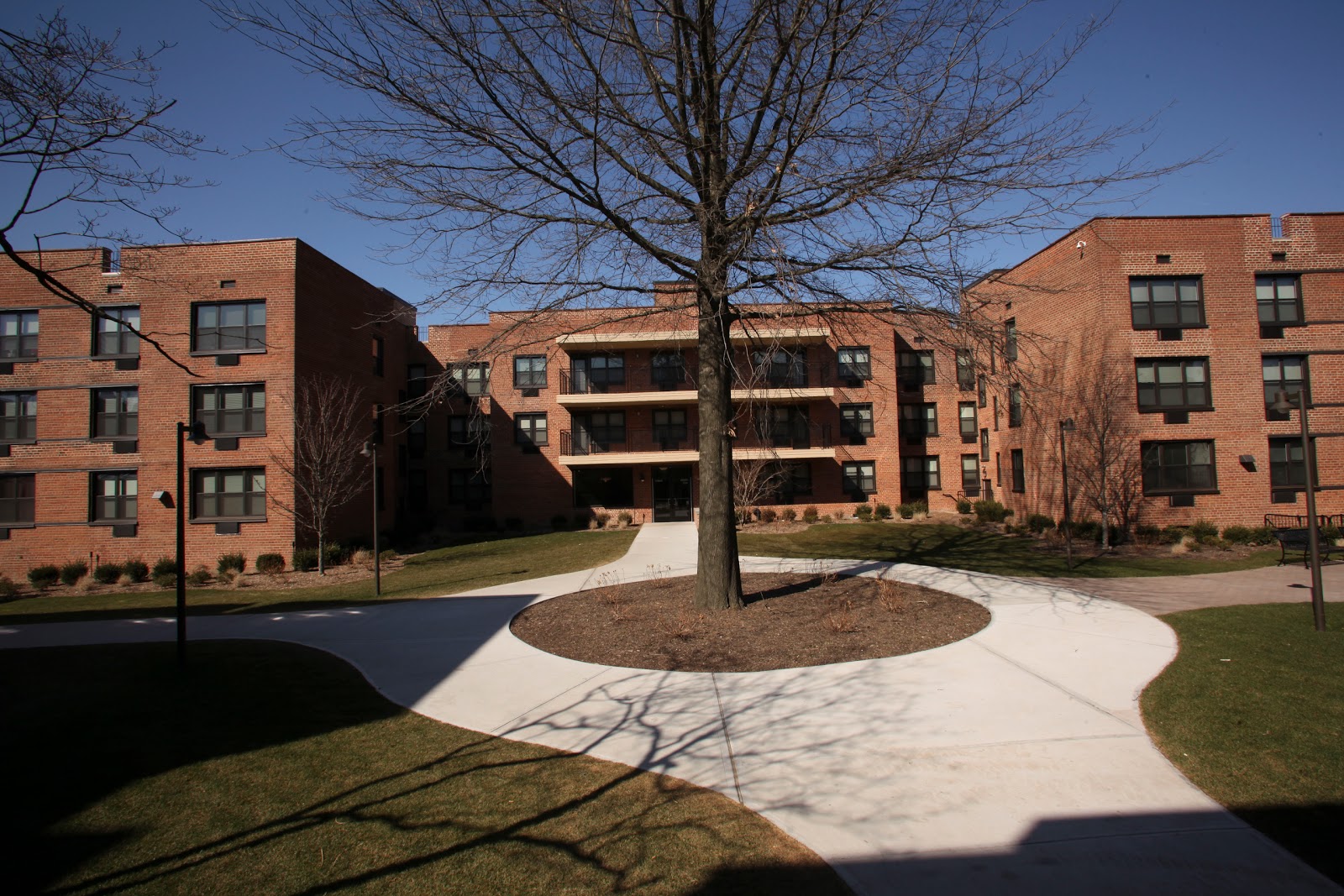 Photo of Twin Oaks Apartments in Hempstead City, New York, United States - 2 Picture of Point of interest, Establishment, Real estate agency