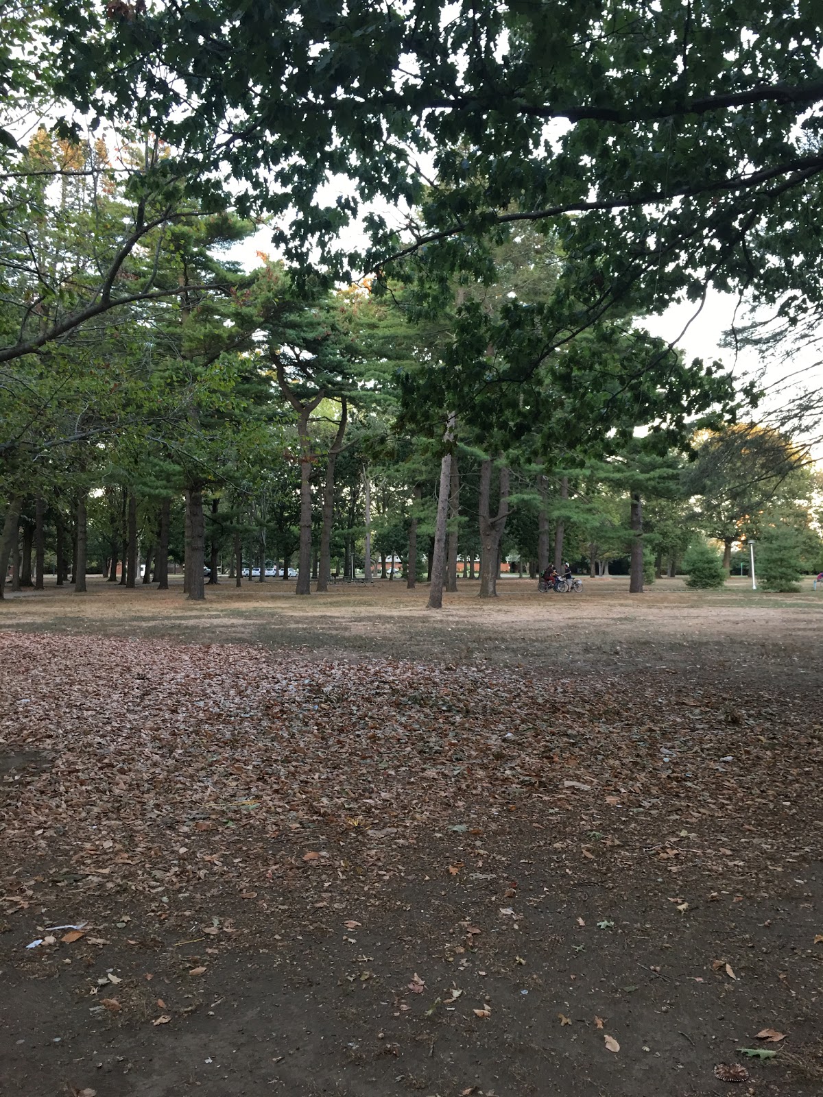 Photo of Eisenhower Field #2 in East Meadow City, New York, United States - 2 Picture of Point of interest, Establishment