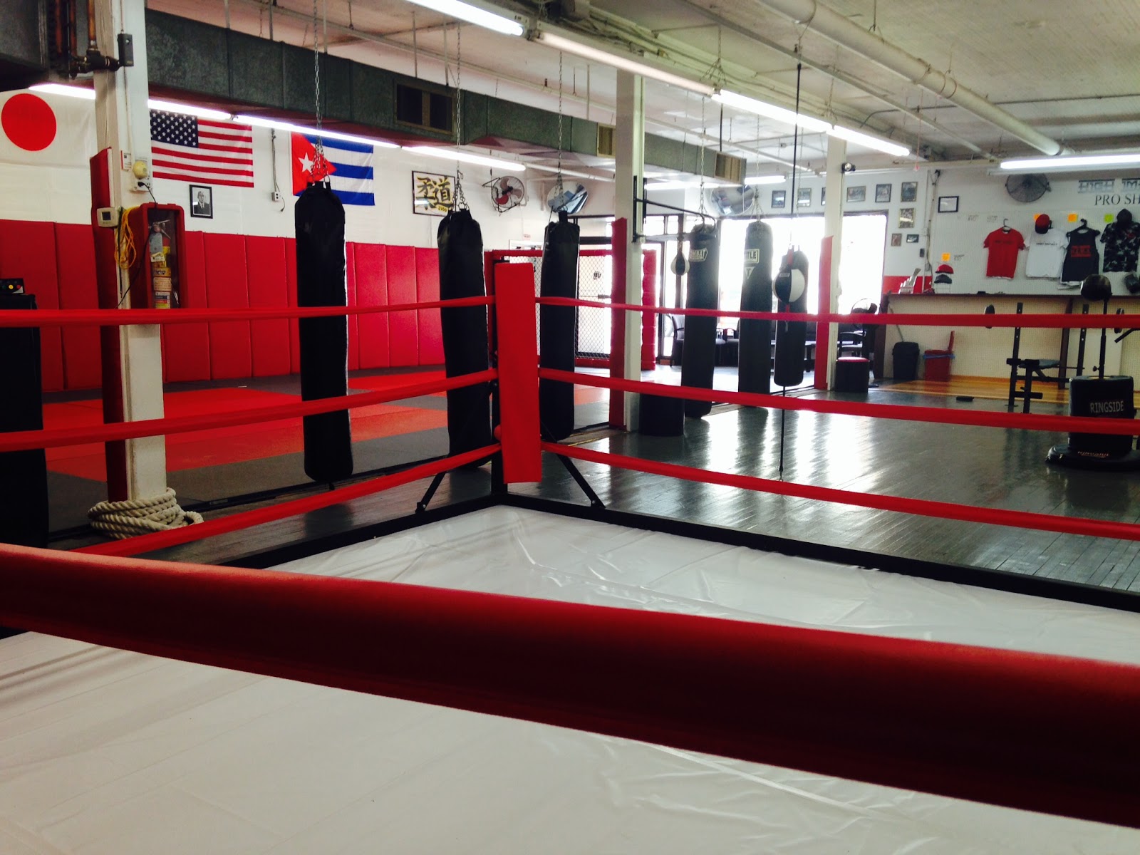 Photo of High Impact Martial Arts in West New York City, New Jersey, United States - 1 Picture of Point of interest, Establishment, Health