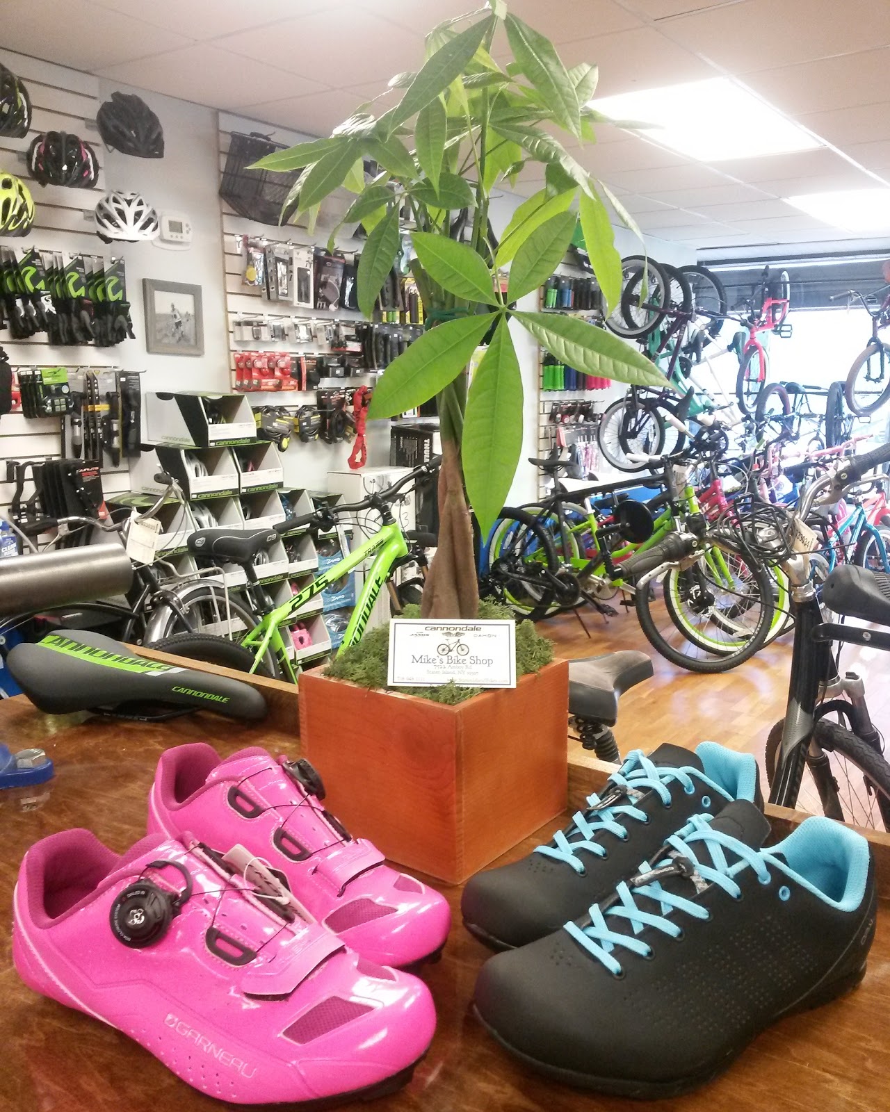Photo of Mike's Bike Shop of Staten Island in Richmond City, New York, United States - 3 Picture of Point of interest, Establishment, Store, Bicycle store