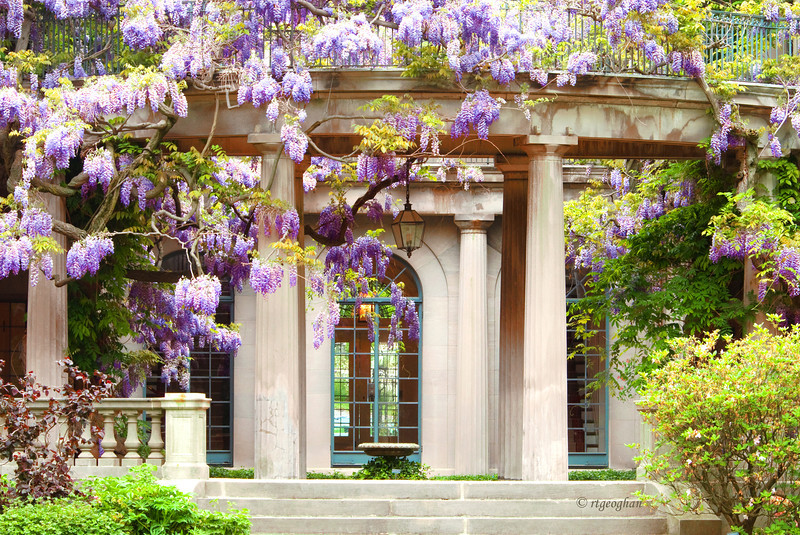 Photo of Van Vleck House & Gardens in Montclair City, New Jersey, United States - 4 Picture of Point of interest, Establishment, Store, Park