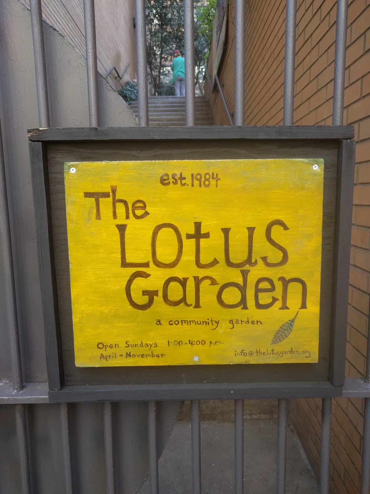 Photo of Lotus Garden in New York City, New York, United States - 6 Picture of Point of interest, Establishment, Park