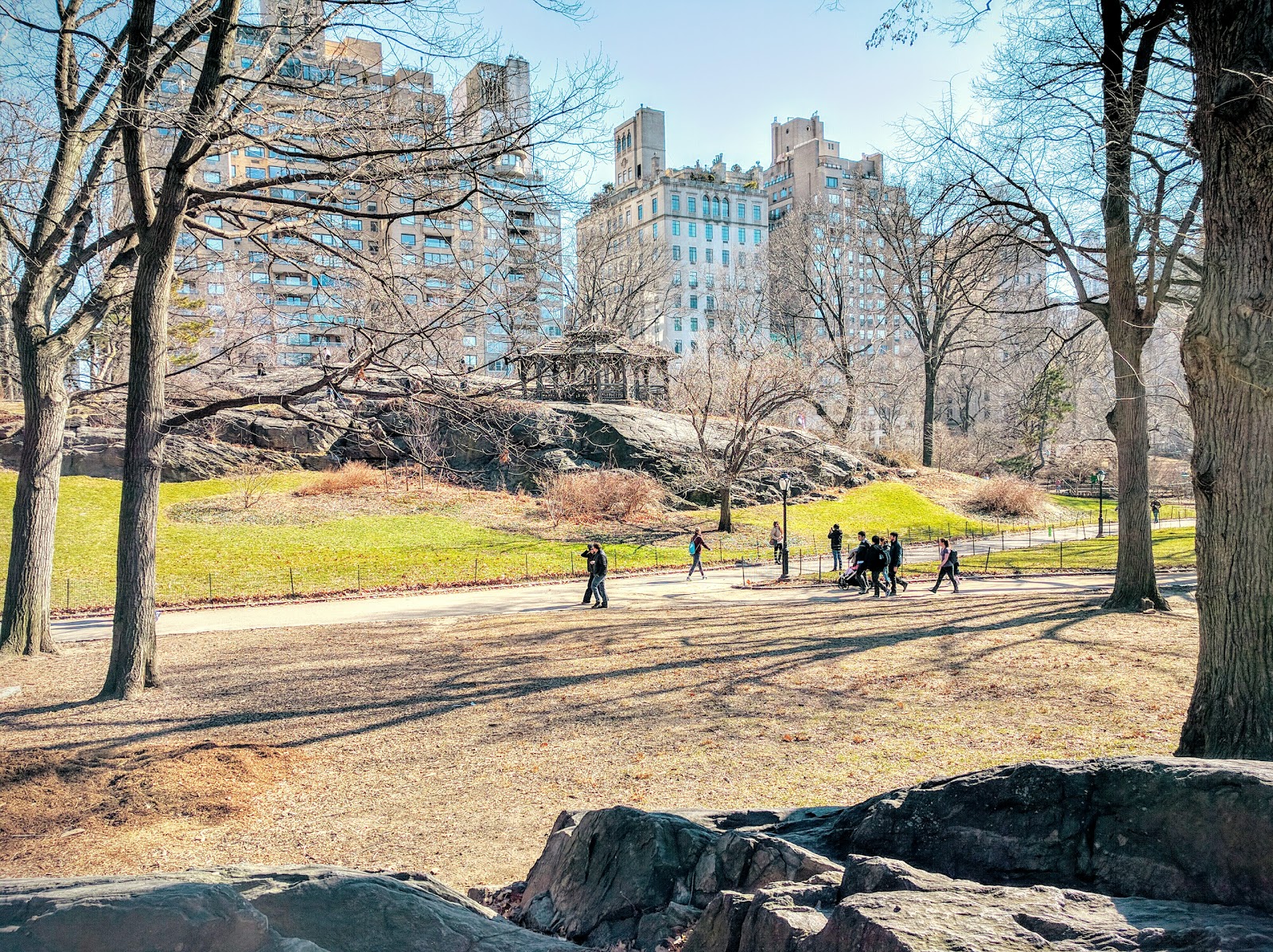 Photo of A Treehouse For Dreaming in New York City, New York, United States - 2 Picture of Point of interest, Establishment