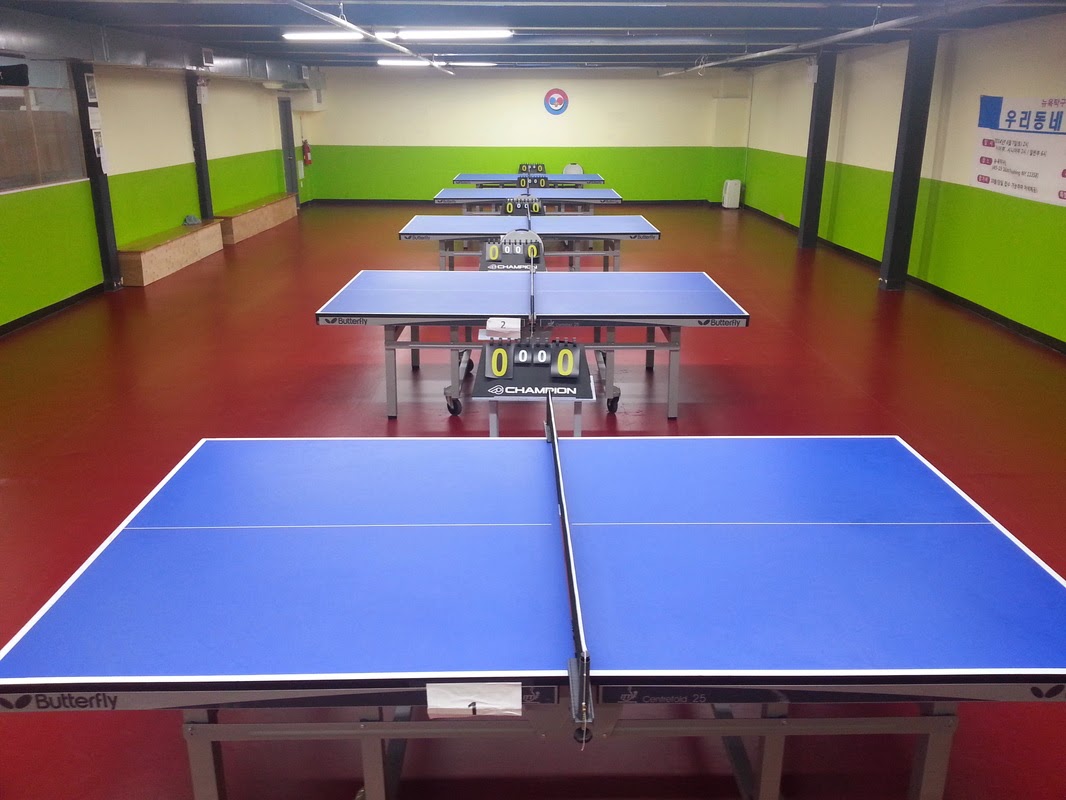 Photo of New York Table Tennis in Flushing City, New York, United States - 2 Picture of Point of interest, Establishment