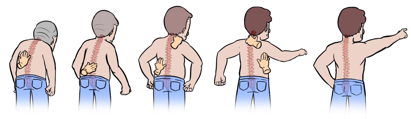 Photo of Chiropractor, Fernando Mendez in Kings County City, New York, United States - 5 Picture of Point of interest, Establishment, Health