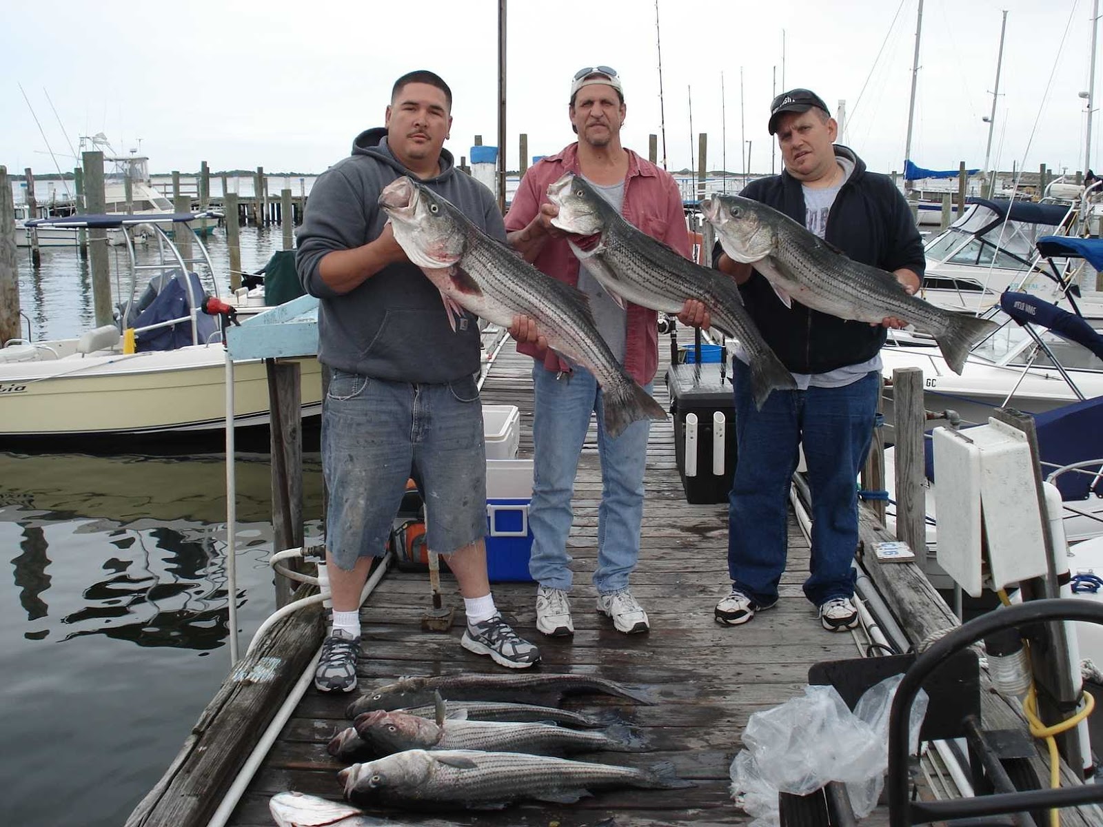 Photo of PrimeTimeCharters in Highlands City, New Jersey, United States - 3 Picture of Point of interest, Establishment