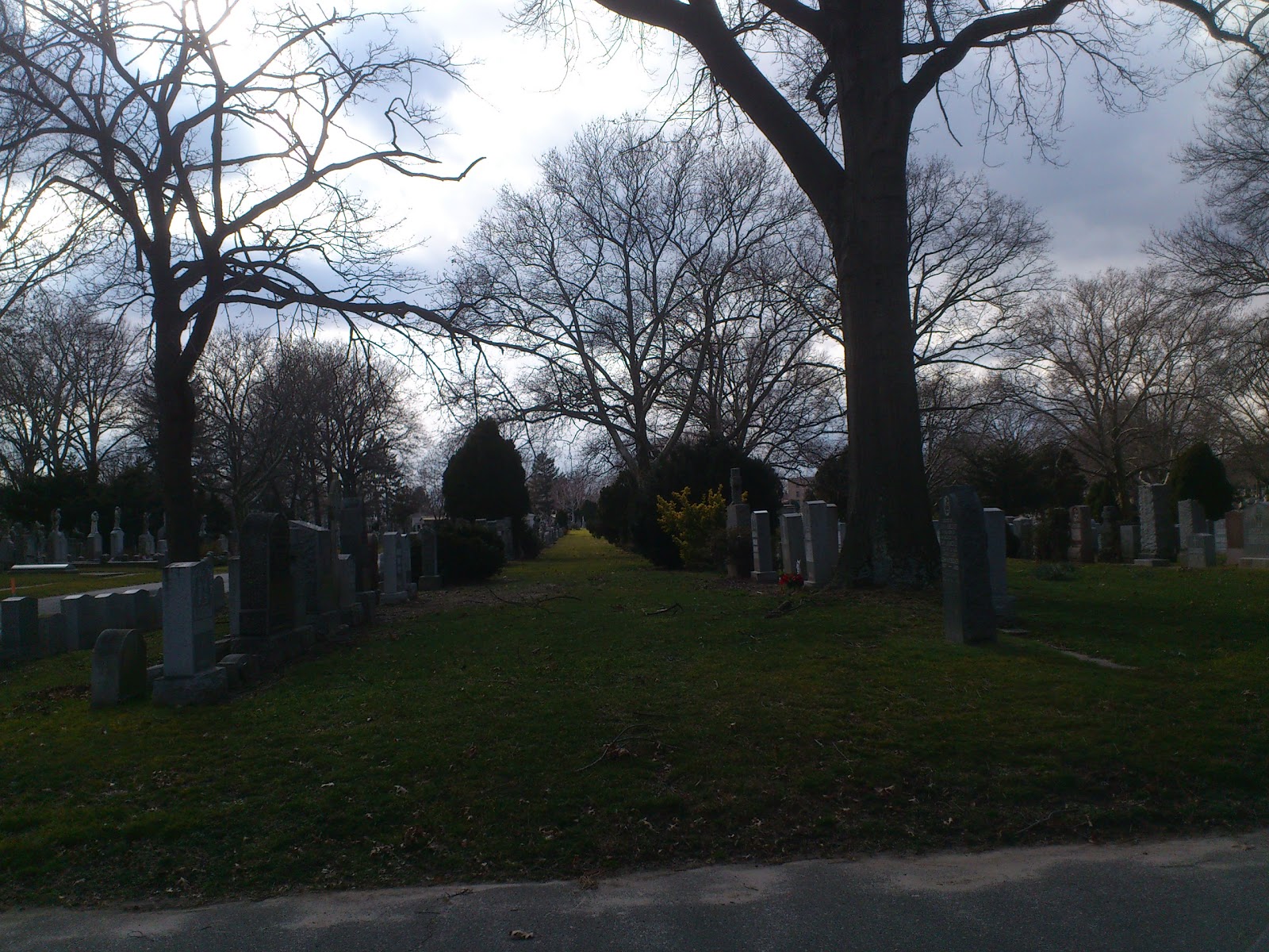 Photo of St. John Cemetery in Middle Village City, New York, United States - 8 Picture of Point of interest, Establishment, Cemetery