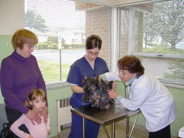 Photo of Foster Animal Hospital in Clifton City, New Jersey, United States - 7 Picture of Point of interest, Establishment, Veterinary care