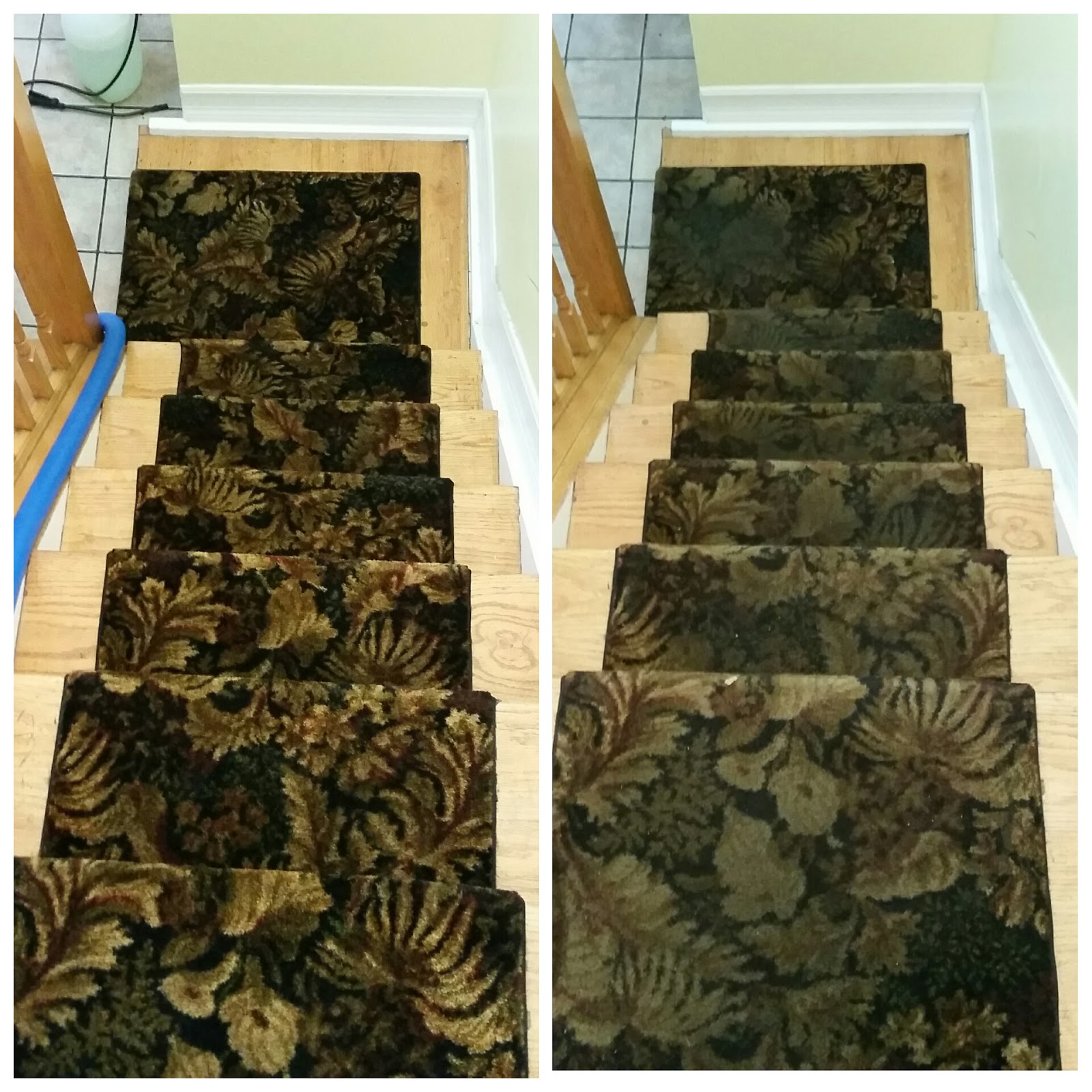 Photo of Pristine carpet cleaning in Kings County City, New York, United States - 4 Picture of Point of interest, Establishment