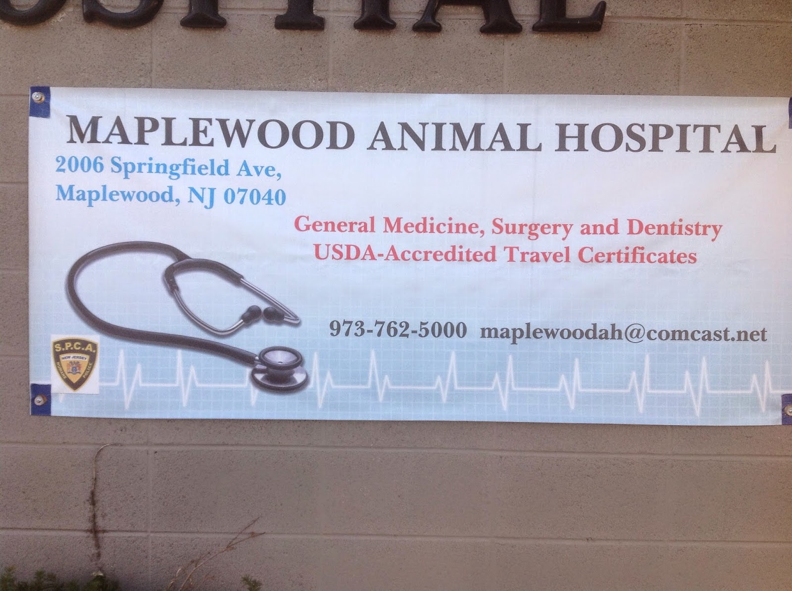 Photo of Maplewood Animal Hospital in Maplewood City, New Jersey, United States - 4 Picture of Point of interest, Establishment, Veterinary care