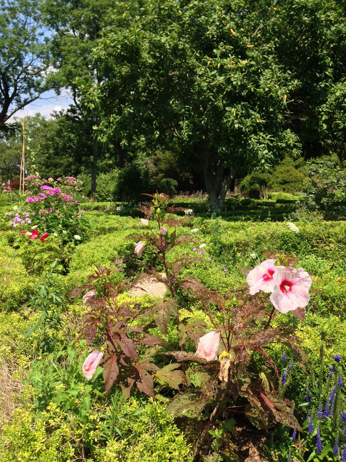 Photo of Cedarmere Park in Roslyn City, New York, United States - 9 Picture of Point of interest, Establishment, Park