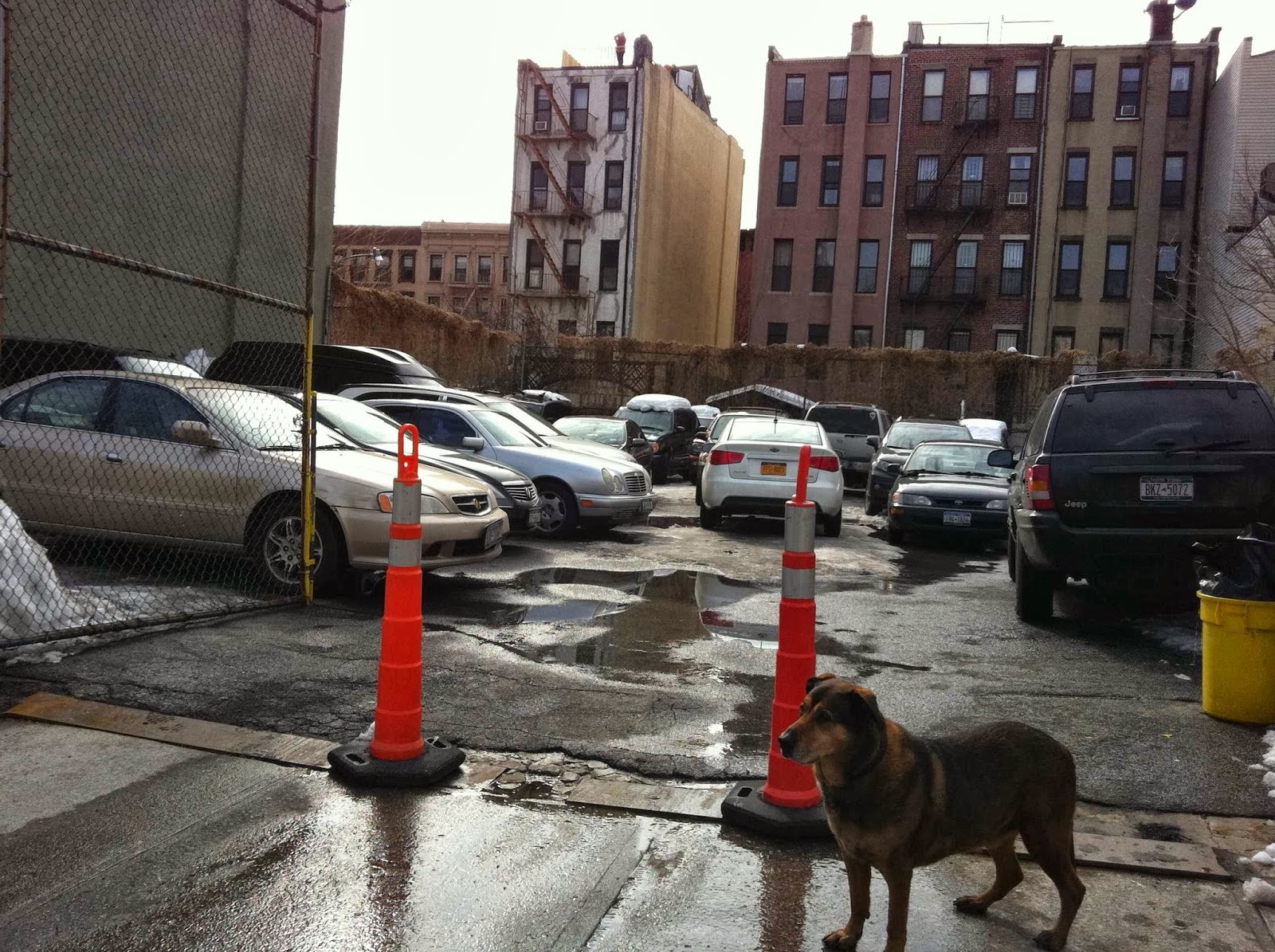 Photo of PARKOLOGY in New York City, New York, United States - 1 Picture of Point of interest, Establishment, Parking
