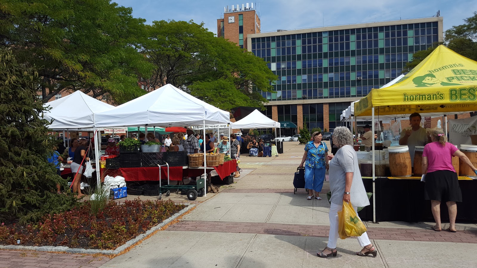 Photo of Long Beach NY Farmers Market in Long Beach City, New York, United States - 6 Picture of Food, Point of interest, Establishment, Store, Grocery or supermarket