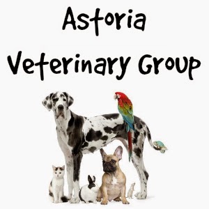 Photo of Astoria Veterinary Group in New York City, New York, United States - 1 Picture of Point of interest, Establishment, Veterinary care