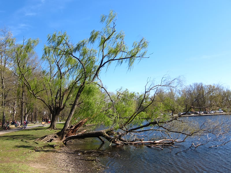 Photo of Glen Rock Area Playground in Glen Rock City, New Jersey, United States - 2 Picture of Point of interest, Establishment