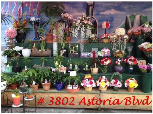 Photo of Modesto Cotrina - Floral Designer in Queens City, New York, United States - 1 Picture of Point of interest, Establishment, Store, Florist