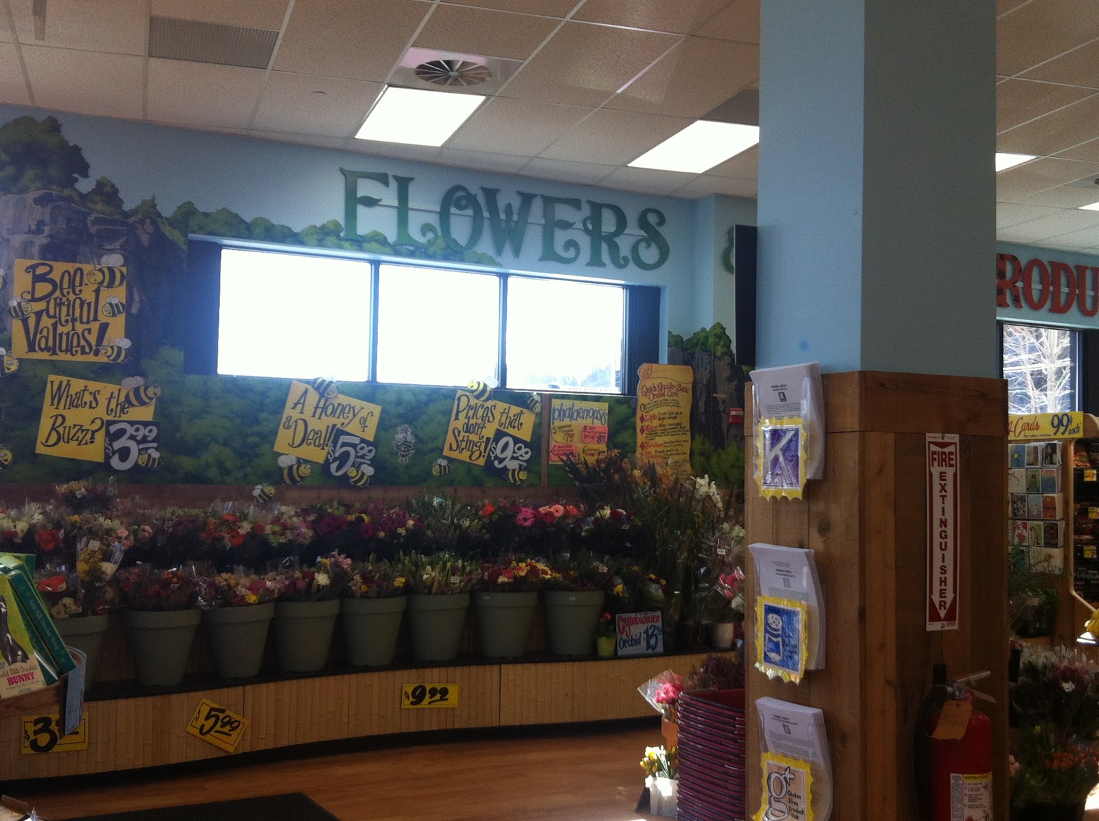 Photo of Trader Joe's in Edgewater City, New Jersey, United States - 4 Picture of Food, Point of interest, Establishment, Store, Health, Grocery or supermarket, Florist