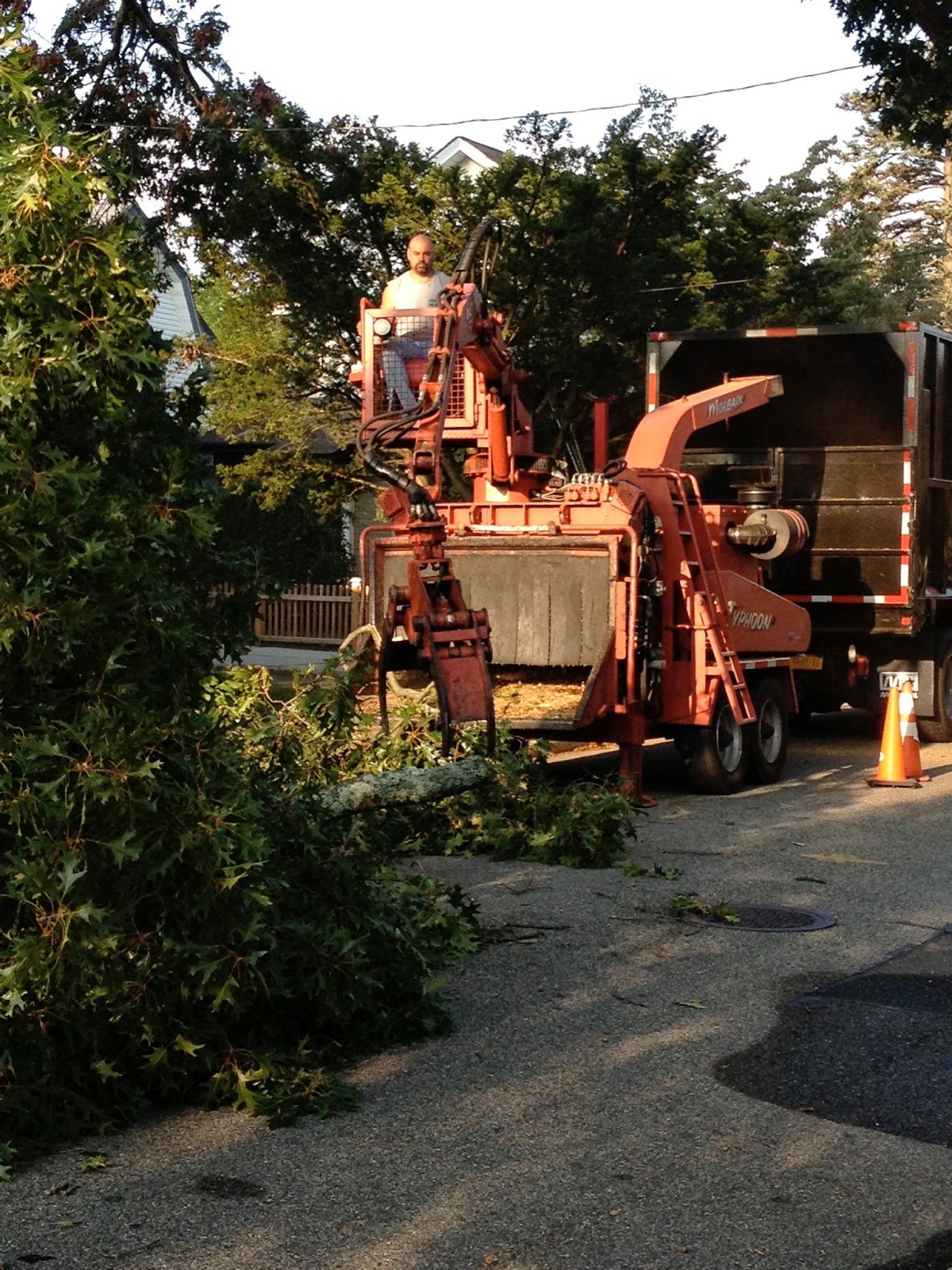 Photo of Howard's Tree Service Inc in Oceanside City, New York, United States - 5 Picture of Point of interest, Establishment, General contractor