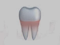 Photo of All Family Dental Center, LLC in Ridgefield Park City, New Jersey, United States - 3 Picture of Point of interest, Establishment, Health, Doctor, Dentist