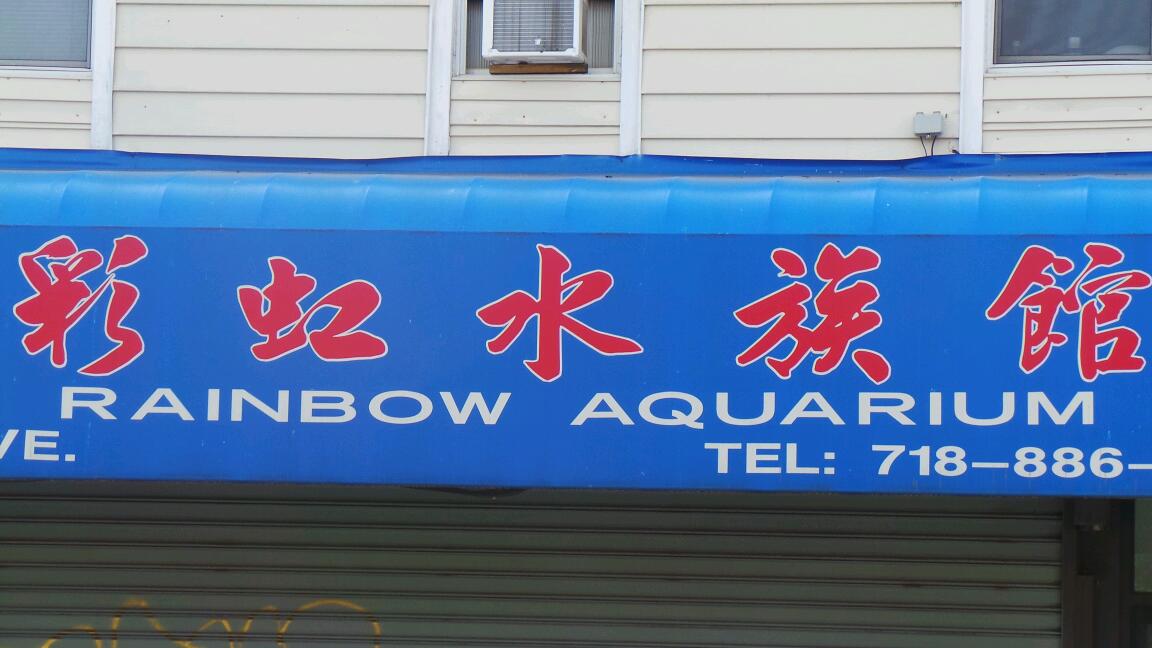 Photo of Rainbow Aquarium in Queens City, New York, United States - 3 Picture of Point of interest, Establishment, Store, Pet store