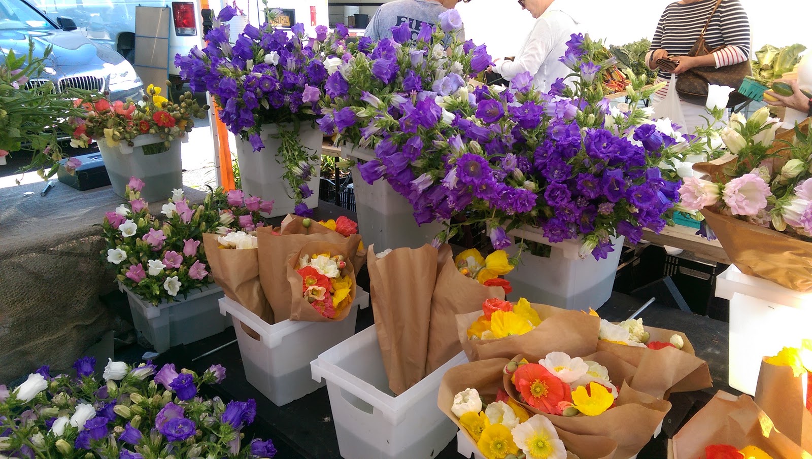 Photo of Bronxville Saturday Farmer Market in Bronxville City, New York, United States - 2 Picture of Food, Point of interest, Establishment, Store, Grocery or supermarket