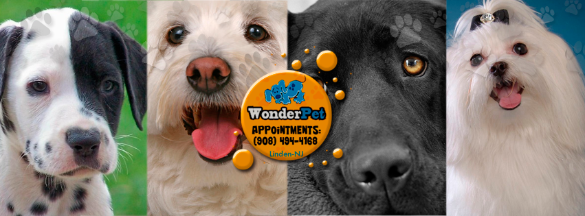 Photo of Wonder Pet Grooming in Linden City, New Jersey, United States - 1 Picture of Point of interest, Establishment