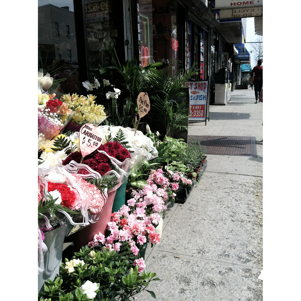 Photo of Emmanuel Jewelry and Flowers in Bronx City, New York, United States - 2 Picture of Point of interest, Establishment, Store, Jewelry store, Florist