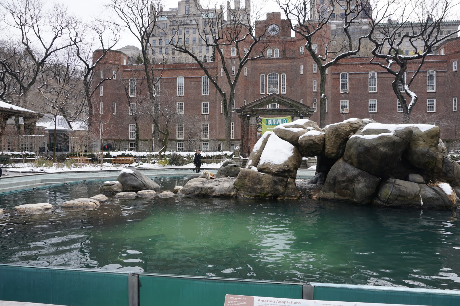 Photo of Central Park Zoo in New York City, New York, United States - 1 Picture of Point of interest, Establishment, Zoo