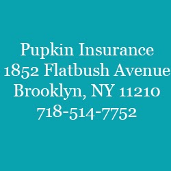 Photo of Pupkin Insurance Agency in Kings County City, New York, United States - 3 Picture of Point of interest, Establishment, Insurance agency