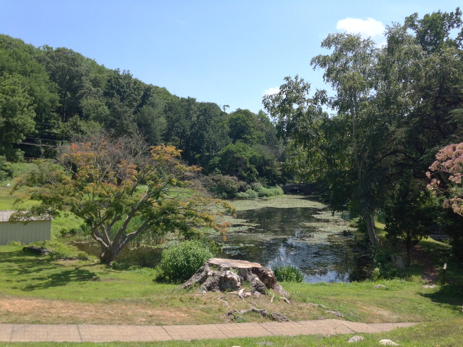 Photo of Cedarmere Park in Roslyn City, New York, United States - 7 Picture of Point of interest, Establishment, Park