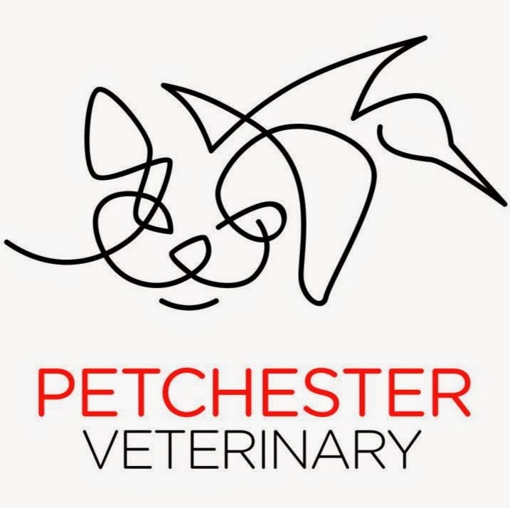 Photo of Petchester Veterinary in Eastchester City, New York, United States - 6 Picture of Point of interest, Establishment, Veterinary care