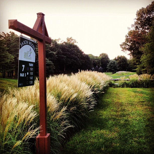 Photo of Saxon Woods Golf Course in Scarsdale City, New York, United States - 1 Picture of Point of interest, Establishment