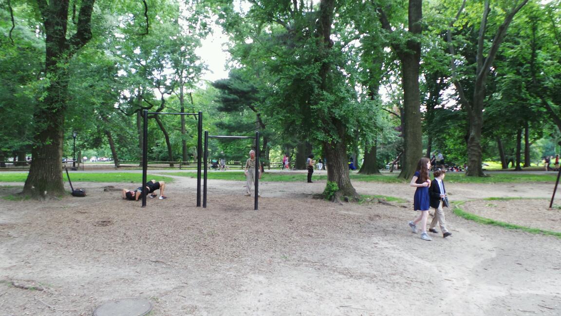 Photo of Arthur Ross Pinetum in New York City, New York, United States - 3 Picture of Point of interest, Establishment, Park