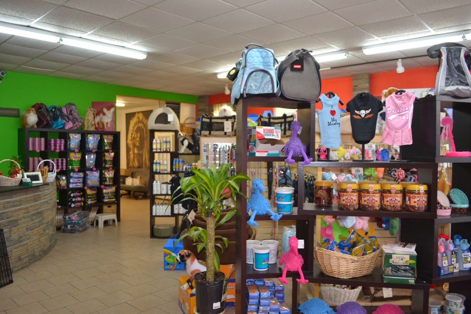 Photo of Puppy Land Inc. in Queens City, New York, United States - 1 Picture of Point of interest, Establishment, Store, Pet store