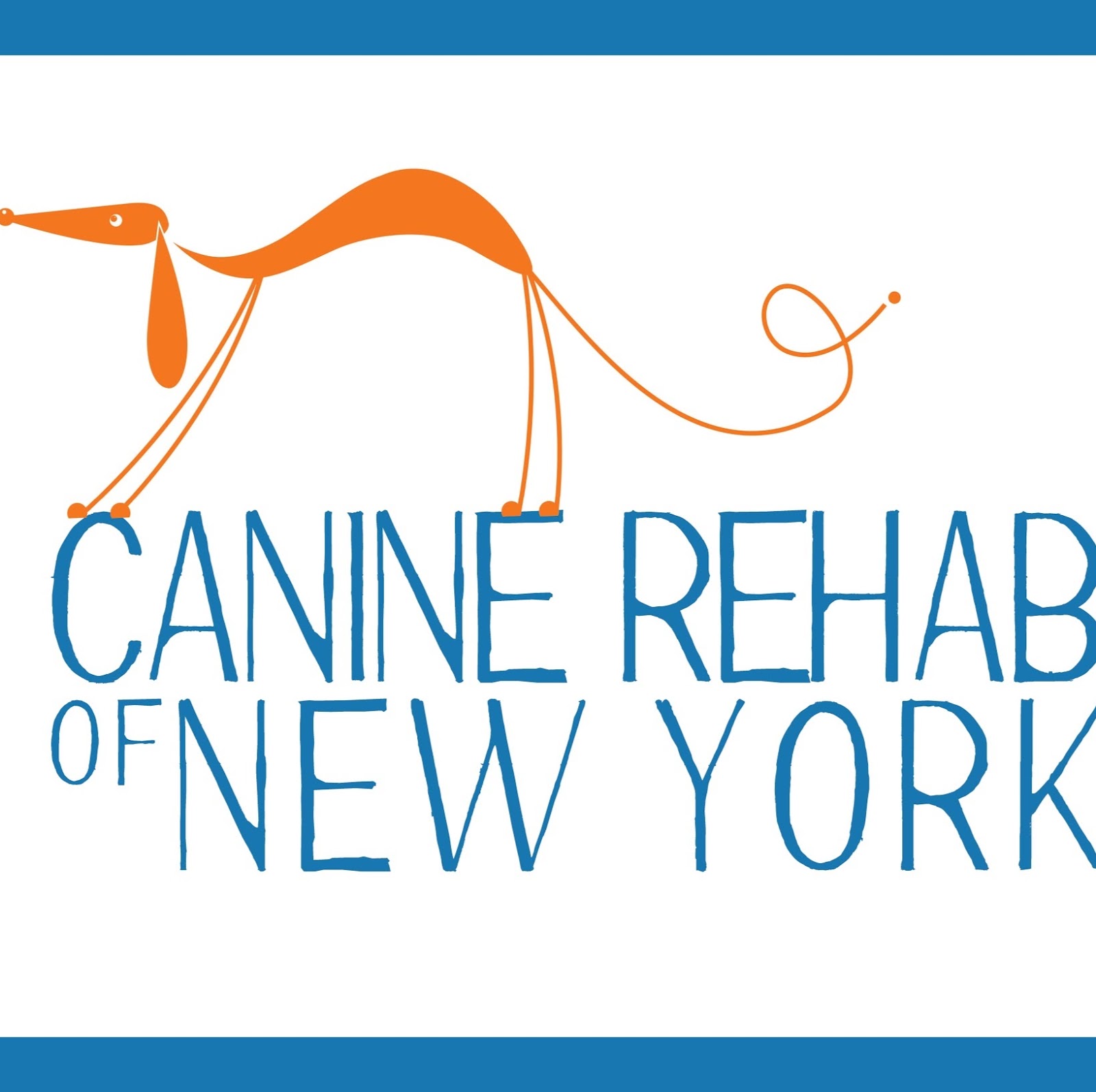 Photo of CANINE REHAB of NEW YORK in New York City, New York, United States - 3 Picture of Point of interest, Establishment, Veterinary care