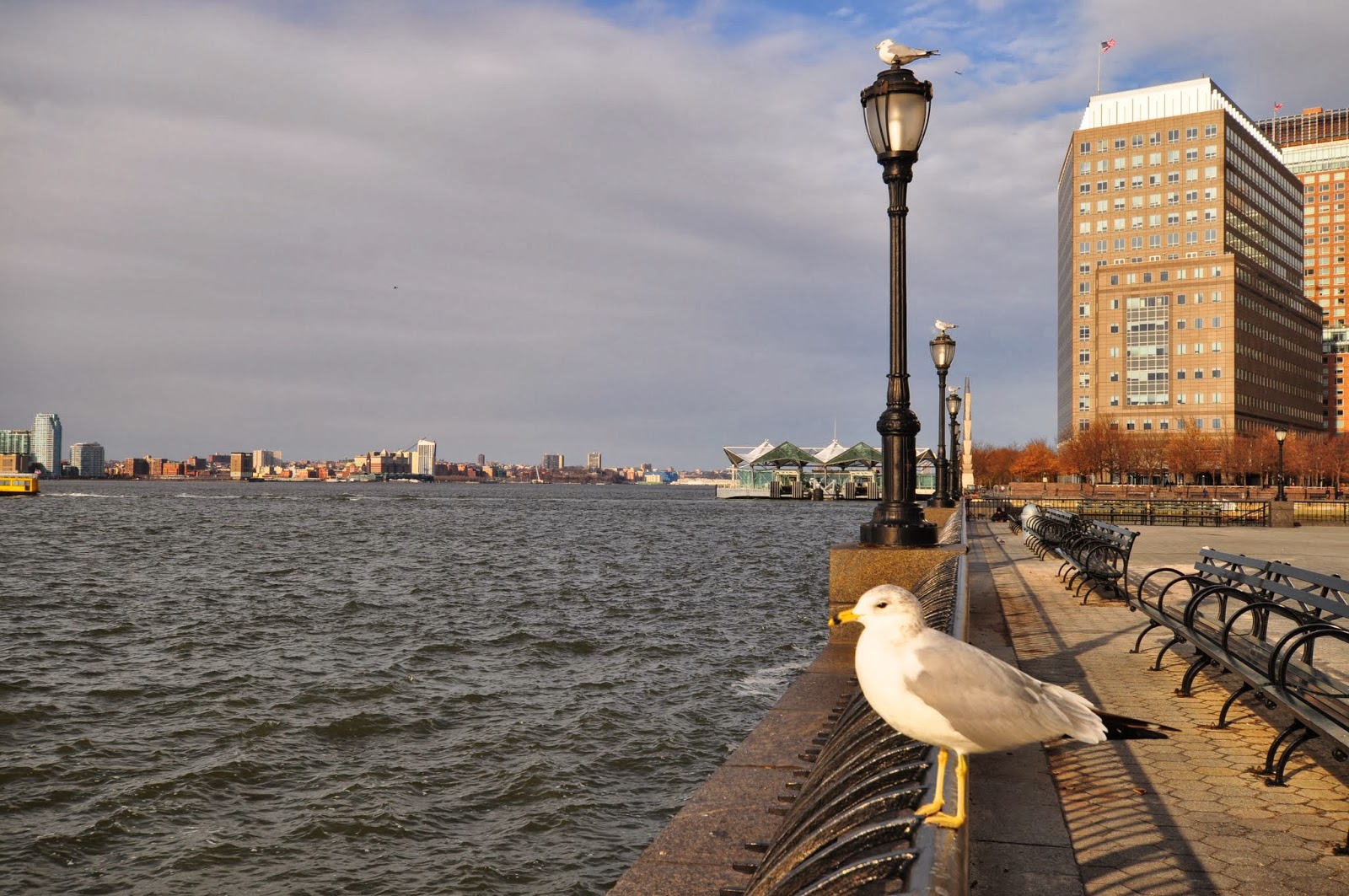 Photo of Riverfront Jewelers in New York City, New York, United States - 1 Picture of Point of interest, Establishment, Store, Jewelry store