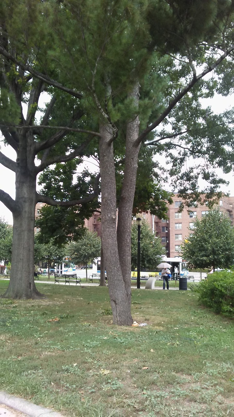 Photo of MacDonald Park in Forest Hills City, New York, United States - 3 Picture of Point of interest, Establishment, Park