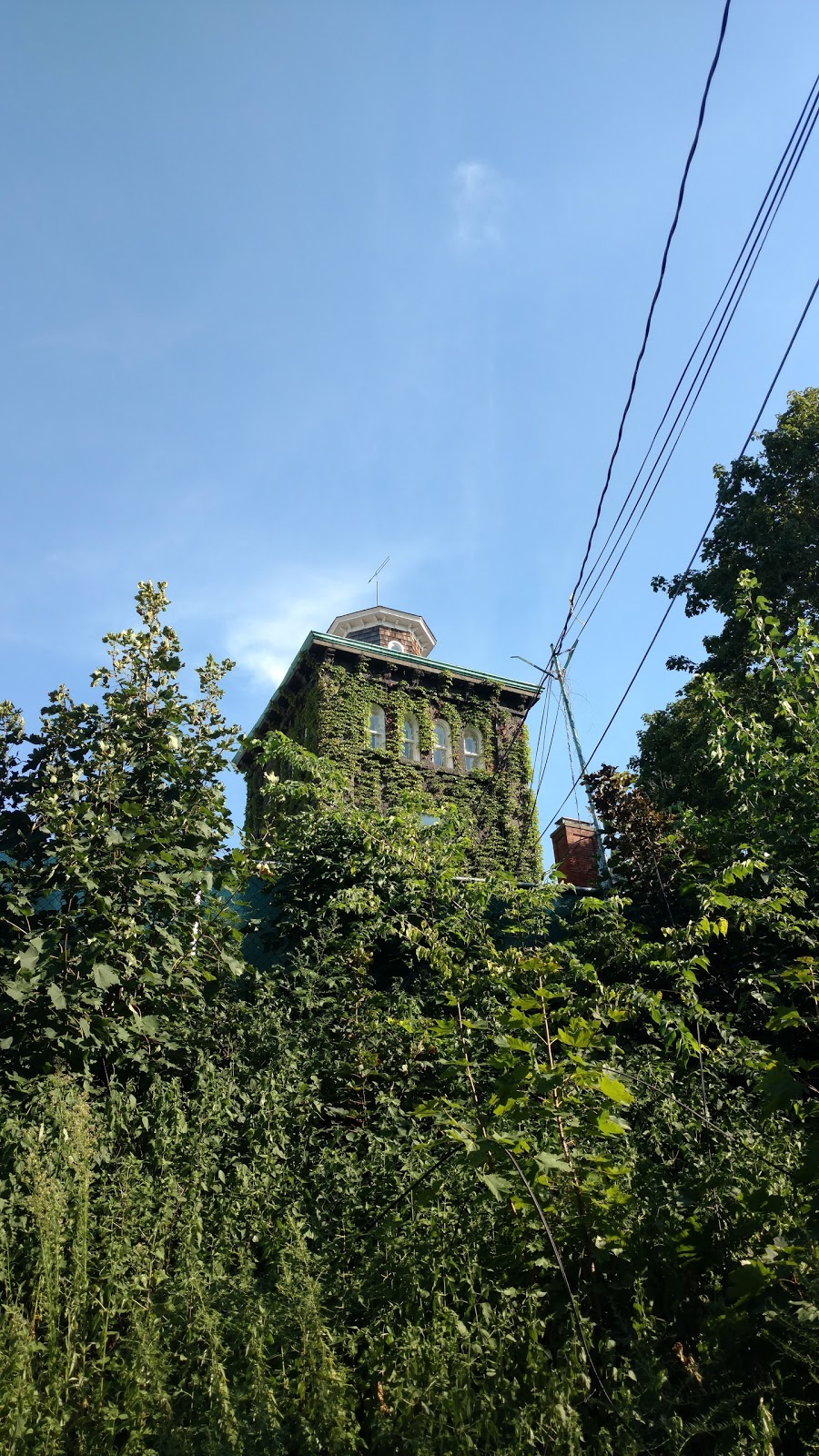 Photo of Steinway Mansion in Queens City, New York, United States - 2 Picture of Point of interest, Establishment