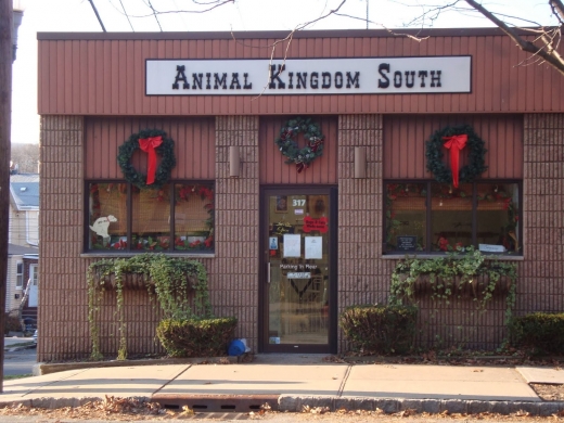 Animal Kingdom South in South Orange City, New Jersey, United States - #1 Photo of Point of interest, Establishment, Store, Pet store