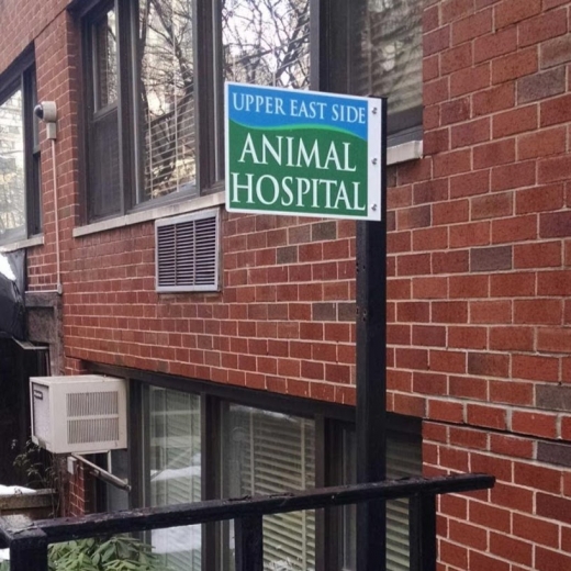 Upper East Side Animal Hospital in New York City, New York, United States - #1 Photo of Point of interest, Establishment, Veterinary care