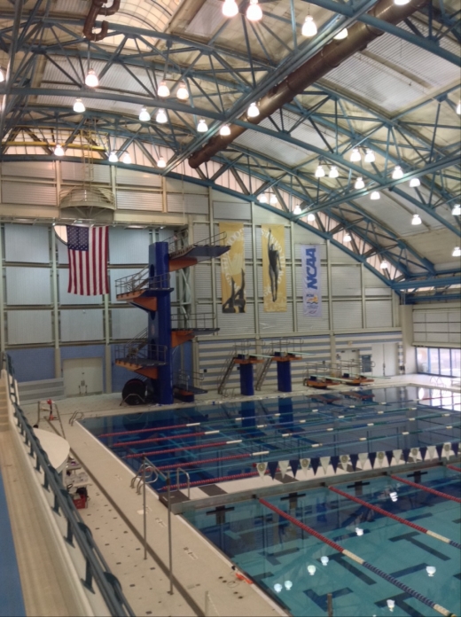 Nassau County Aquatic Center in East Meadow City, New York, United States - #4 Photo of Point of interest, Establishment