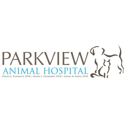 Guerrero Maria DVM in Passaic City, New Jersey, United States - #1 Photo of Point of interest, Establishment, Veterinary care