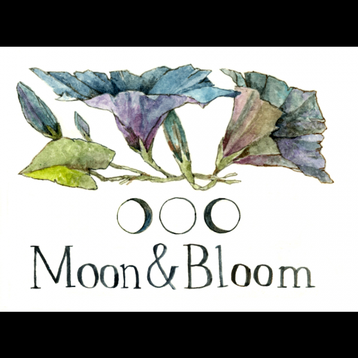 Moon & Bloom Integrative and Flower Essence Therapy in New York City, New York, United States - #2 Photo of Point of interest, Establishment, Health
