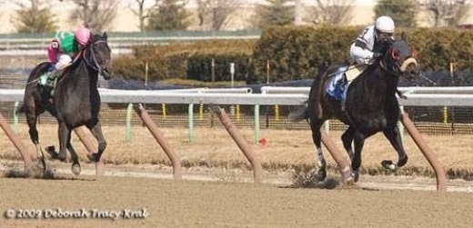 Gary P Gullo Racing Stable in Elmont City, New York, United States - #3 Photo of Food, Point of interest, Establishment