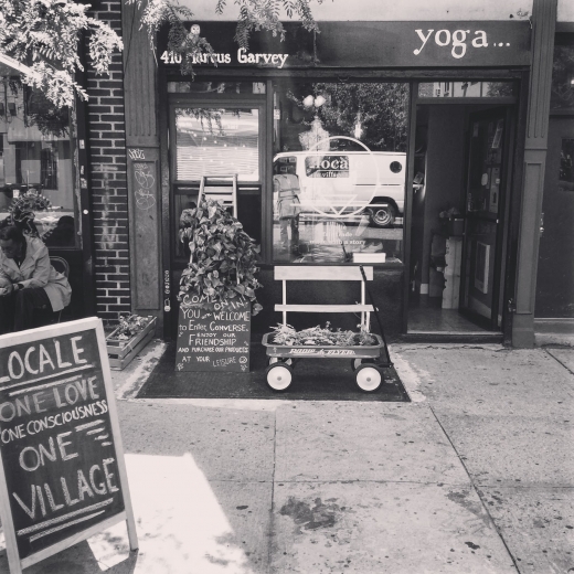 Locale Village Shop and Yoga in Kings County City, New York, United States - #4 Photo of Point of interest, Establishment, Health, Gym