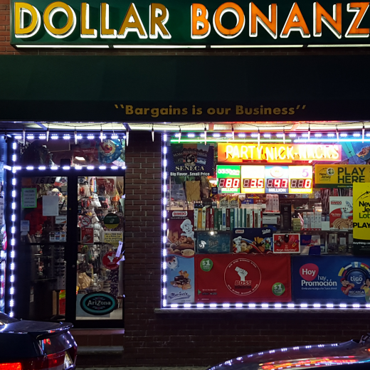 Dollar Bonanza Viva Corporation in Union City, New Jersey, United States - #1 Photo of Point of interest, Establishment, Store