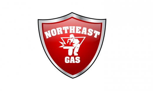 Northeast Gas Services in Bergenfield City, New Jersey, United States - #1 Photo of Point of interest, Establishment, Store