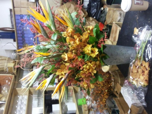Photo by <br />
<b>Notice</b>:  Undefined index: user in <b>/home/www/activeuser/data/www/vaplace.com/core/views/default/photos.php</b> on line <b>128</b><br />
. Picture for East Village Florist in New York City, New York, United States - Point of interest, Establishment, Store, Florist