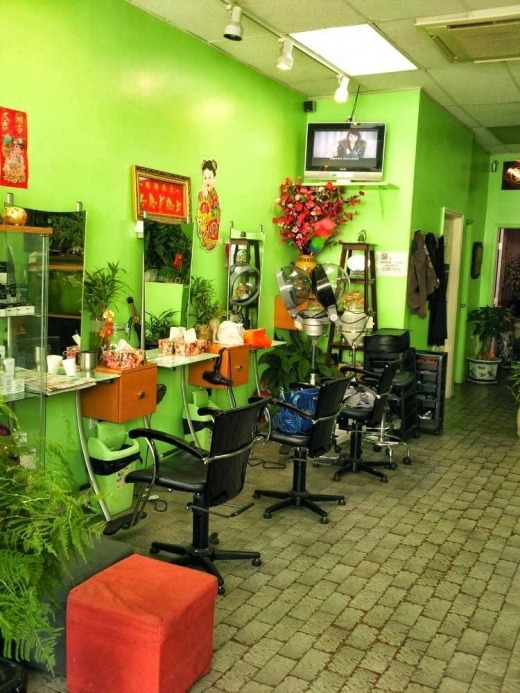 CD Andy Hair Salon in Brooklyn City, New York, United States - #2 Photo of Point of interest, Establishment, Beauty salon, Hair care