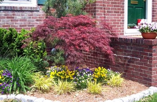 Photo by <br />
<b>Notice</b>:  Undefined index: user in <b>/home/www/activeuser/data/www/vaplace.com/core/views/default/photos.php</b> on line <b>128</b><br />
. Picture for Bianco's Landscaping & Masonry Inc in Staten Island City, New York, United States - Point of interest, Establishment, General contractor